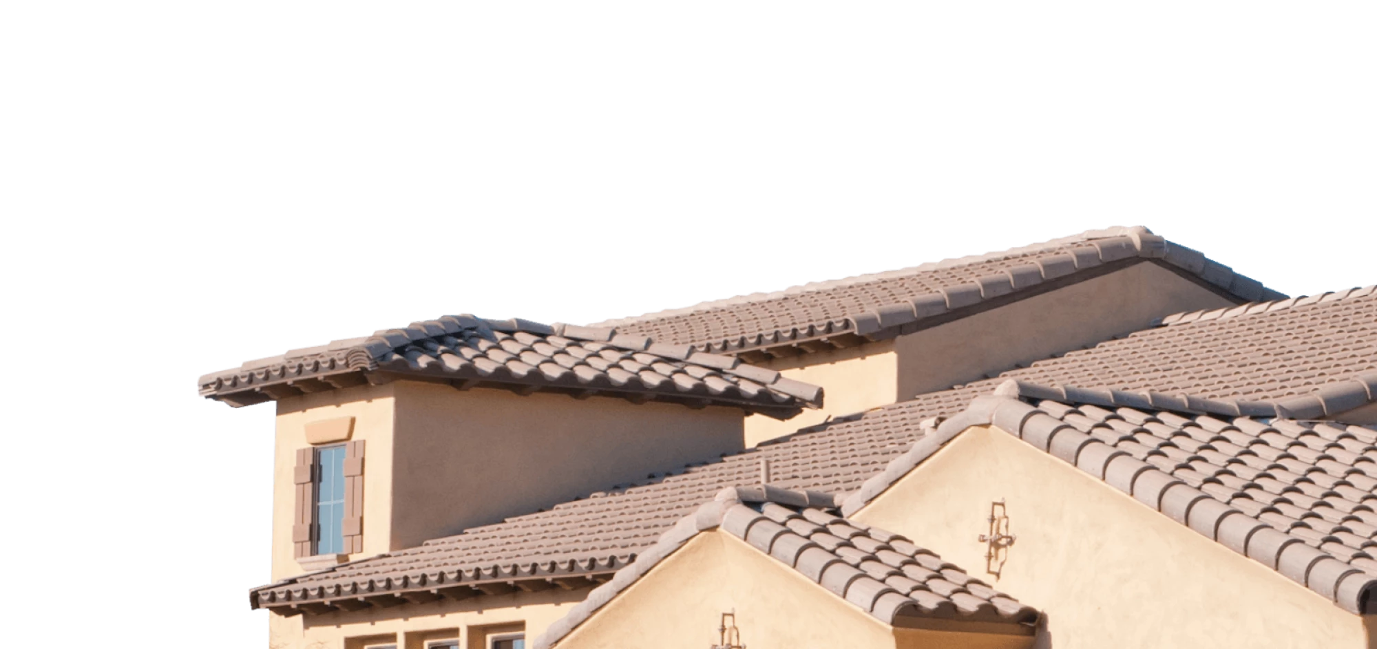 Services We Provide