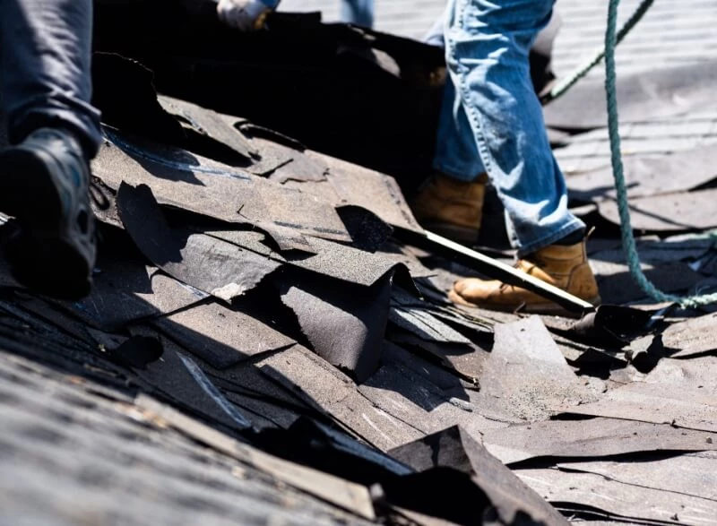 Roof Cleaning and Maintenance
