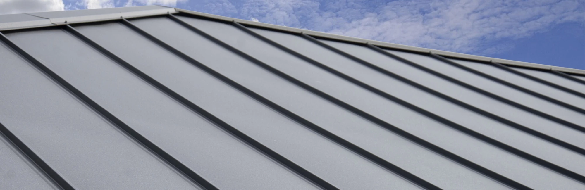 Metal Roofing